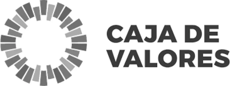 logo caja de valores